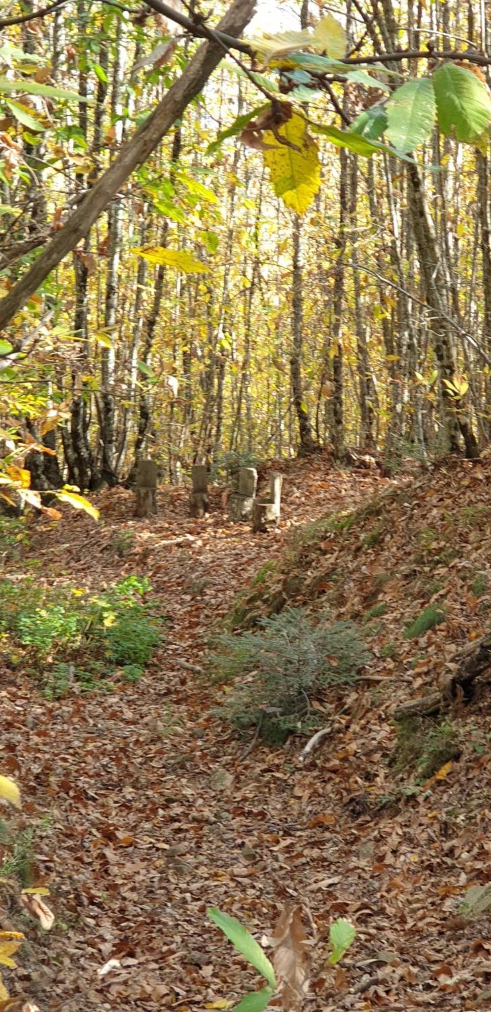 Agriturismo Menghino Nievole Экстерьер фото
